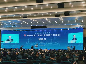 围观第十一届 重庆 台湾周 开幕式盛况