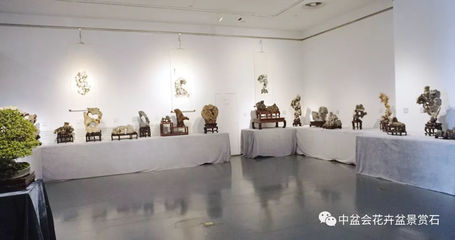 首届江苏盆景精品展暨中日韩盆景文化交流活动精彩亮相苏州