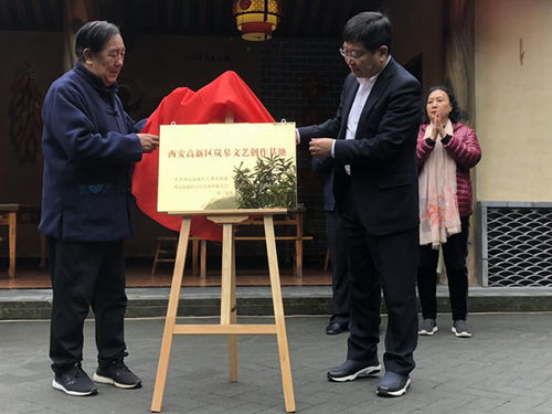 高新区文艺工作者赴安康岚皋县开展文化艺术交流