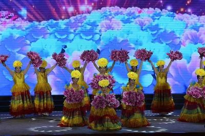 第十五次中韩(东营市·三陟市)文化艺术交流活动文艺演出成功举行