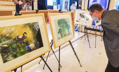2021郎静山青少年艺术奖摄影交流巡回展在沪举办 推动青少年艺术交流与文化传承